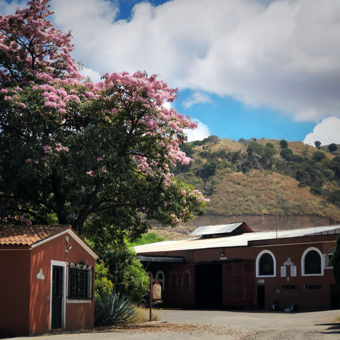 La Cofradia 'Iguanas' Reposado Tequila 40% 750ml